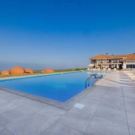 Hotel Qvevrebi 泰拉维 外观 照片